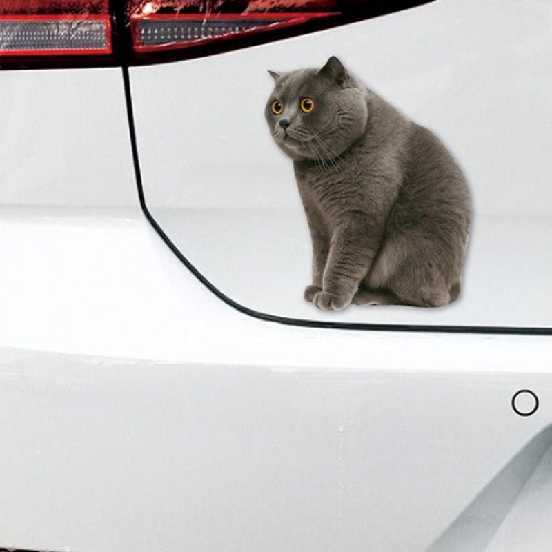 Car Funny Cat Meme Sticker, The Cat Meme Sticker Decal Waterproof, Cute Kitten Decals for Cars, Laptop, Wall, Rear Window, Bumper, Humorous Automotive Decoration for Trucks -3.90" - Image 5